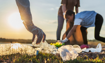 Recycling Entsorgung